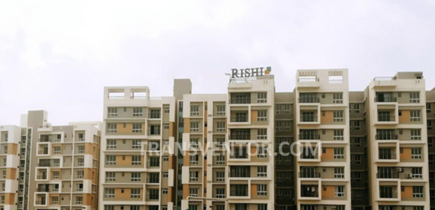 Rishi Ecoview-3